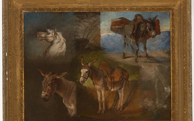 Early Oil of Horse and Donkeys