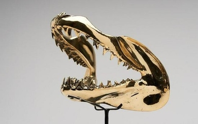 Finest detail, bronze-cast Mako Shark Jaws - Isurus