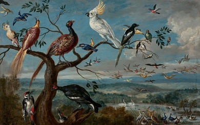 Jan van KESSEL l'Ancien Anvers, 1626 - 1679Le concert des oiseauxHuile sur cuivreSigné 'j v....