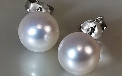 #LOW RESERVE PRICE# - 18 kt. Akoya pearls, White gold, Round shape Ø 7,5x8 mm - Earrings