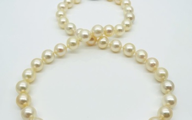 No Reserve Price - Akoya Pearls, Natural Golden Color, 8.5 -9 mm - 925 Silver - Necklace