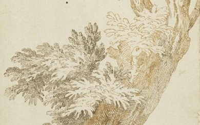 Northern European School, 17th century- Study of a tree; pen and brown and black ink on laid paper, 27 x 18 cm. Provenance: The estate of the late designer Anthony Powell.