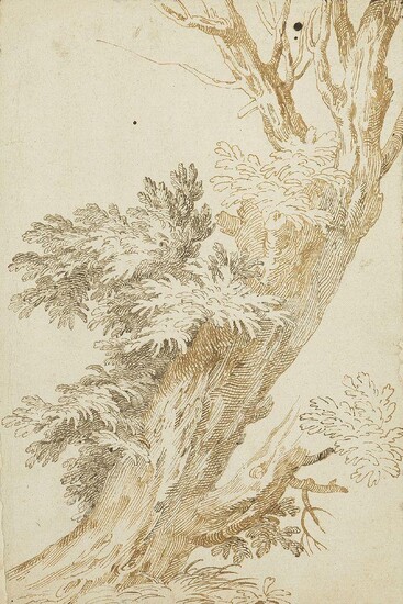Northern European School, 17th century- Study of a tree; pen and brown and black ink on laid paper, 27 x 18 cm. Provenance: The estate of the late designer Anthony Powell.
