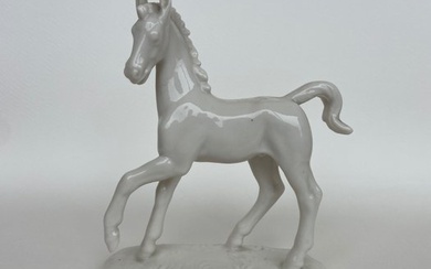 Nymphenburg - Figure - Nymphenburg Figurina di puledro/cavallo in porcellana bianca lucida firmata da August Gohring. - Porcelain
