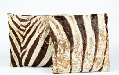 Pair of Zebra Skin Pillows