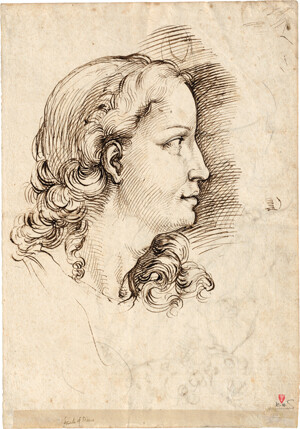 Passarotti, Bartolomeo – Kopf einer Diana nach rechts