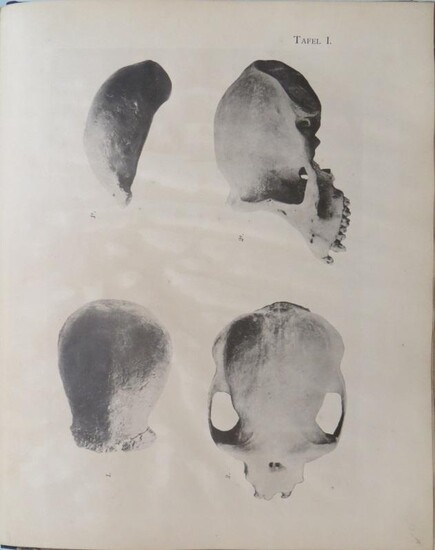 Pithecanthropus erectus; Eine menschenaehnliche Uebergangsform aus Java. Von Eug. Dubois, Militairarzt der niederlaendisch-indischen Armee.