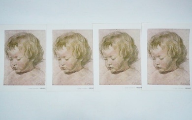 Rubens (After) Lot of (4) "The Artist's Son" Canvas Prints