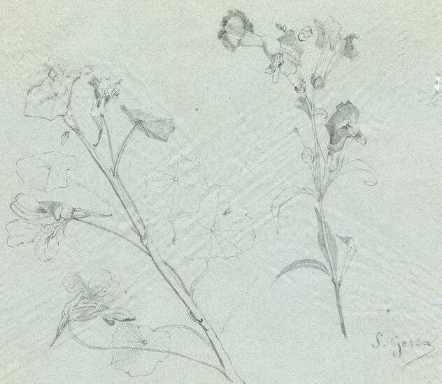 SEBASTIÃN GESSA (1840 / 1920) "Irises"