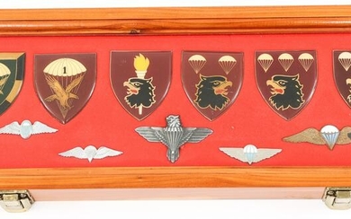 SOUTH AFRICAN PARACHUTE BATTALION FLASH & WINGS