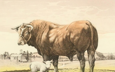 Simon Bull, 'Friesian Bull', etching, inscribed, signed