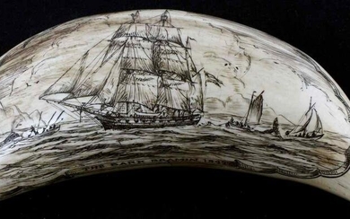 WHALE TOOTH SCRIMSHAW THE BARK BRAMIN 1845