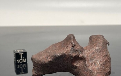 XXL MUNDRABILLA Sculptural Metal Meteorite, VERY RARE - 133.7 g