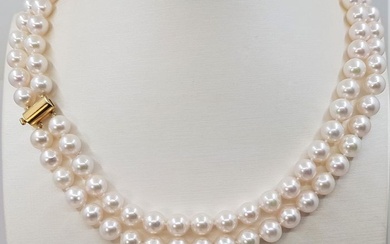 no reserve - 8.5x9mm Akoya Pearls - 14 kt. Yellow gold - Necklace