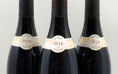 3 bouteilles NUIT SAINT GEORGES 2018 1er cru Les Saint Georges. Domaine Robert Chevillon