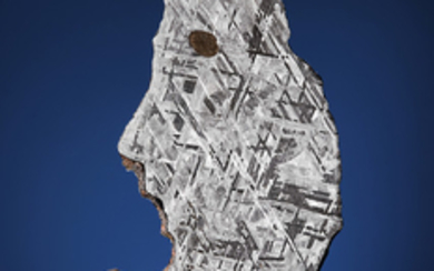 A COMPLETE SLICE OF THE ROUNDUP METEORITE, Iron Meteorite – IIIAB Roundup, Montana