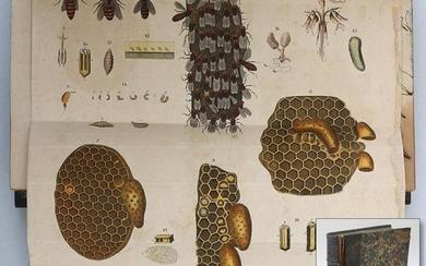 'The Practical Bee-Master,'' by John Keys, 1780