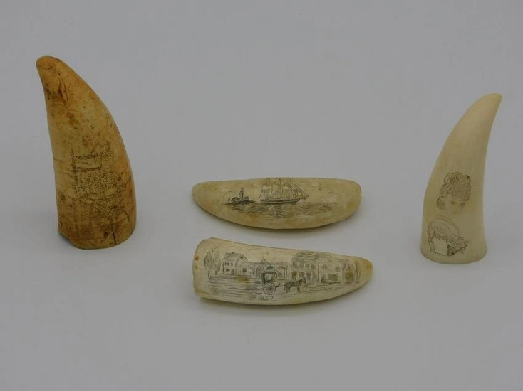 (4) small scrimshaw whales teeth, to include: 4"