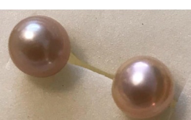 8mm Lavender Pink South Sea Pearl Earrings