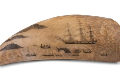 A Scrimshaw Tooth with Whaling Scene