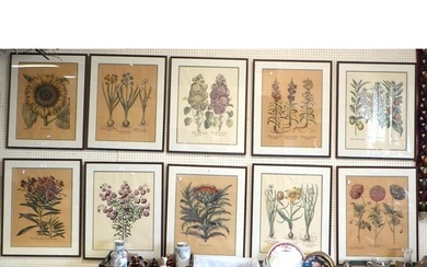A group of ten large framed copper plate Botanical Study pri...