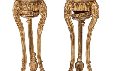 A pair of 19th century gilt wood pedestals, richly carved with rocailles,...