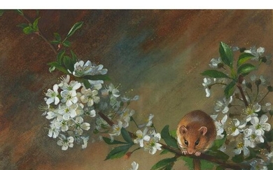 ARCHIBALD THORBURN (SCOTTISH 1860-1935) FIELD MOUSE AND