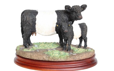 Border Fine Arts 'Galloway Cow & Calf', model No. B1260...