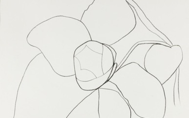 Camellia II (from Suite of Plant Lithographs), ca. 1964-1965
