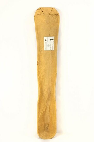 Charles and Ray Eames, leg splint