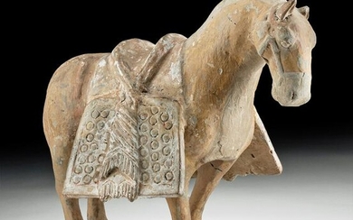 Chinese Tang Dynasty Polychrome Horse w/ TL