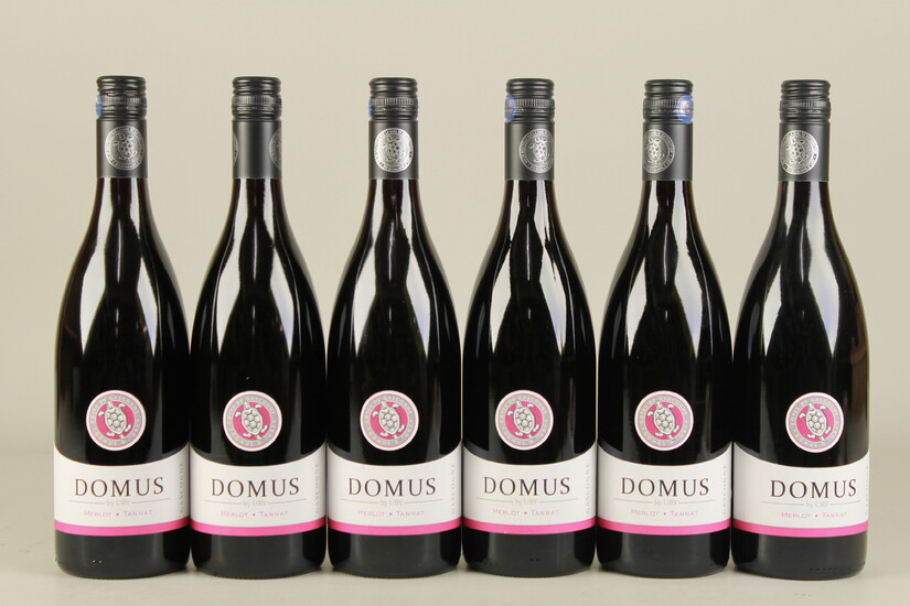 Côtes de Gascogne Rouge 'Domus' 2014