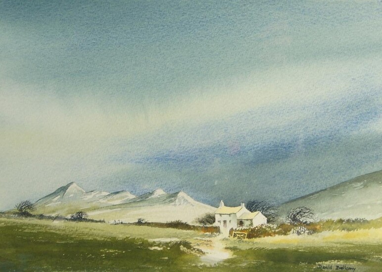 David Bellamy, British b.1943- River Cleddau; and Cottage near St. David's; watercolours on paper, two, ea. signed lower right, 22.5 x 31.5 cm and 22.5 x 32.2 cm respectively (ARR) (2)