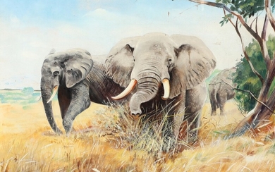 Elephants in the savannah. Signed and dated W. Bürner 35. Oil on cardboard. 45×56 cm.