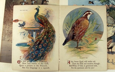 GAME BIRD PRINTS & CHILDS BIRD JINGLES BOOK