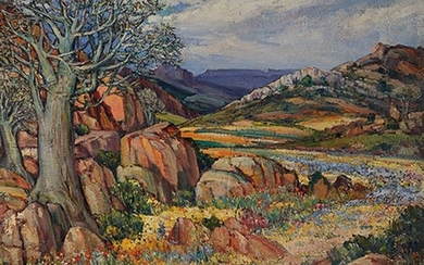 Hugo Naudé (1868-1941, Afrique du Sud), Namaqualand flowers...