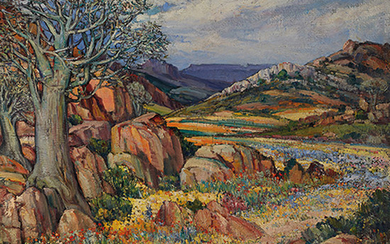 Hugo Naudé South African 1868–1941 Namaqualand flowers and quiver tree oil on canvas signed bottom left 61