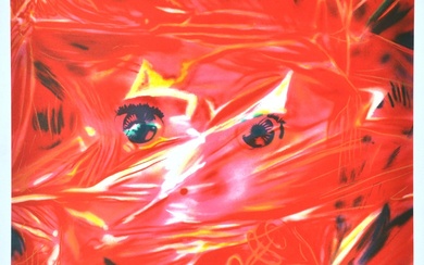 James Rosenquist - Gift wrapped doll (1993)