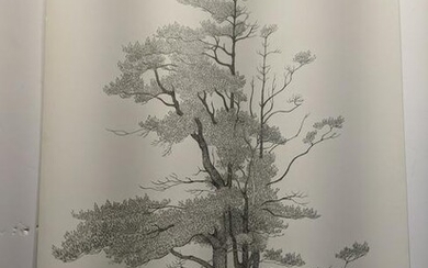 Matsumoto Japanese Pencil Drawing Tree Drawing