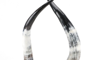 Pair of Polished Steer Horn Contemporary Sculptures