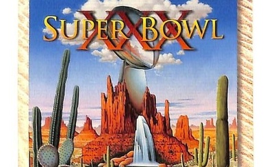Super Bowl XXX 30 Football Ticket Cowboys Steelers Larry Brown MVP