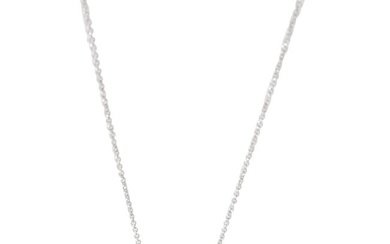 Tiffany & Co. Paper Flowers Single Station Necklace in Platinum 0.33 ctw