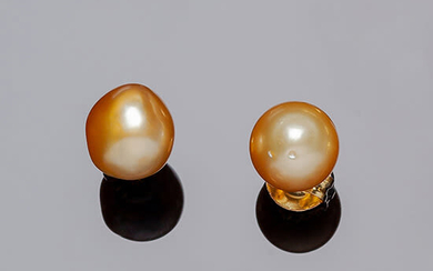 Yellow gold earrings with a beautiful Australian doré pearl,...
