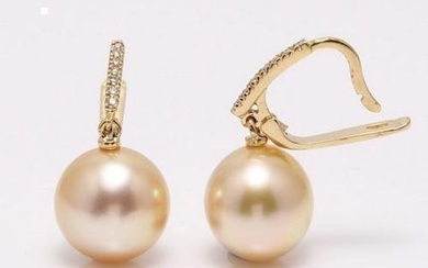 14 kt. Yellow Gold- 11x12mm Golden South Sea Pearls - Earrings - 0.11 ct