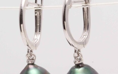 18 kt. White Gold- 10x11mm Peacock Tahitian Pearl Drops - Earrings