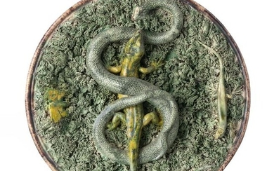 19th Century Portuguese Palissy ware plate
