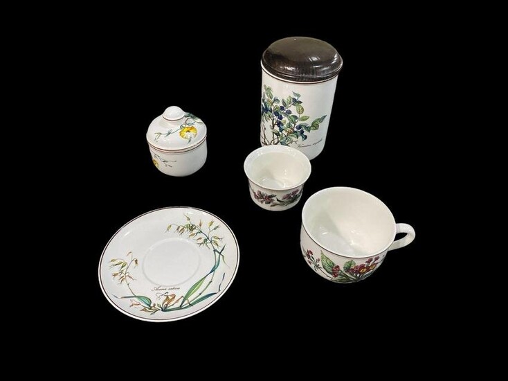 21 Pcs Villeroy and Boch Porcelain Botanica Set