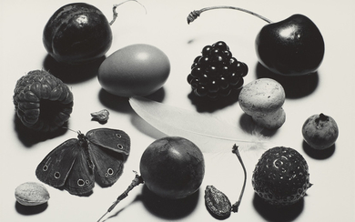 IRVING PENN (1917-2009), Still life with Grape and Moth (A), New York, 1976