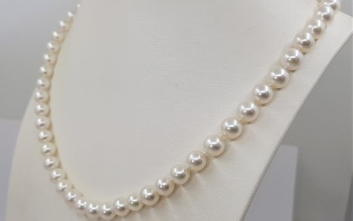 6.5x7mm Bright - 925 Akoya pearls, Silver - Necklace