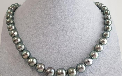8x12mm Silvery Peacock Tahitian pearls - Necklace